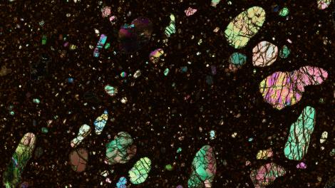 Olivine lamproite in thin section (cross-polarized light) with crystals of olivine in a phlogopite-rich groundmass, Ellendale 9, West Kimberley Province. Field of view is 24 mm wide. Western Australian Museum specimen number WAM R5.2009.